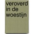 Veroverd in de woestijn