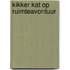 Kikker Kat op Ruimteavontuur