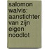 Salomon Walvis: aanstichter van zijn eigen noodlot