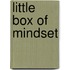 Little Box of Mindset