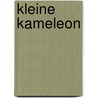 Kleine kameleon door Onbekend