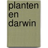 Planten en Darwin by James Costa