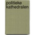 Politieke kathedralen