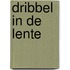 Dribbel in de lente