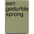 Een gedurfde sprong