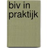 BIV in praktijk door Peter Agema