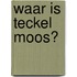 Waar is teckel Moos?