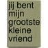 Jij bent mijn grootste kleine vriend