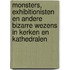 Monsters, exhibitionisten en andere bizarre wezens in kerken en kathedralen