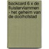 Backcard 6 x De Fluistervlammen - Het geheim van de doolhofstad