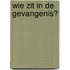 Wie zit in de gevangenis?