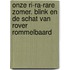 Onze ri-ra-rare zomer. Blink en de schat van rover Rommelbaard