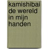 Kamishibai De wereld in mijn handen door Kristien Dieltiens