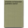 Arbeidsvoorwaarden publieke sector by Justus Van Kesteren