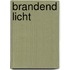 Brandend licht