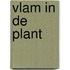 Vlam in de plant