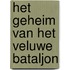 Het geheim van het Veluwe bataljon