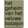 Het geheim van het Veluwe bataljon by Regien Stomphorst