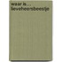 Waar is… Lieveheersbeestje