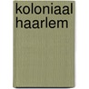 Koloniaal Haarlem door Rosemarijn Hoefte