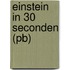 Einstein in 30 seconden (pb)