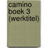 Camino boek 3 (werktitel)