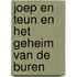 Joep en Teun en het geheim van de buren