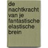 De Nachtkracht van je fantastische elastische brein