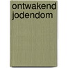 Ontwakend jodendom by DaniëL. De Waele