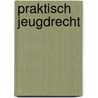 Praktisch Jeugdrecht door Prof. Mr. Dr. Charlotte Phillips