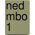 NED MBO 1