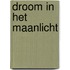 Droom in het maanlicht