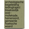 Archeologische Begeleiding Leidingtraject Blaaksedijk Oost - Mollekade, Heinenoord, Gemeente Hoeksche Waard door J. Ras