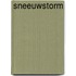 Sneeuwstorm