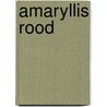 AMARYLLIS ROOD by Pieter Nelletje