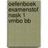 Oefenboek Examenstof NaSk 1 VMBO BB