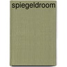 Spiegeldroom by Gerson Aalbrecht