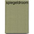 Spiegeldroom