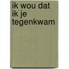 Ik wou dat ik je tegenkwam door Sietse Terpstra