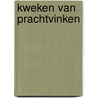 KWEKEN VAN PRACHTVINKEN door Tony Jochem