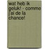 Wat heb ik geluk! - Comme j’ai de la chance!