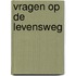 Vragen op de levensweg