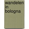 Wandelen in Bologna door Merel Diemont