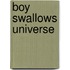 Boy Swallows Universe
