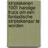 Striptekenen 1001 handige trucs om een fantastische striptekenaar te worden