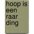 Hoop is een raar ding