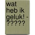 Wat heb ik geluk! - 我真幸运！