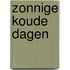 Zonnige Koude Dagen
