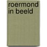 Roermond in Beeld