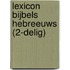Lexicon Bijbels Hebreeuws (2-delig)